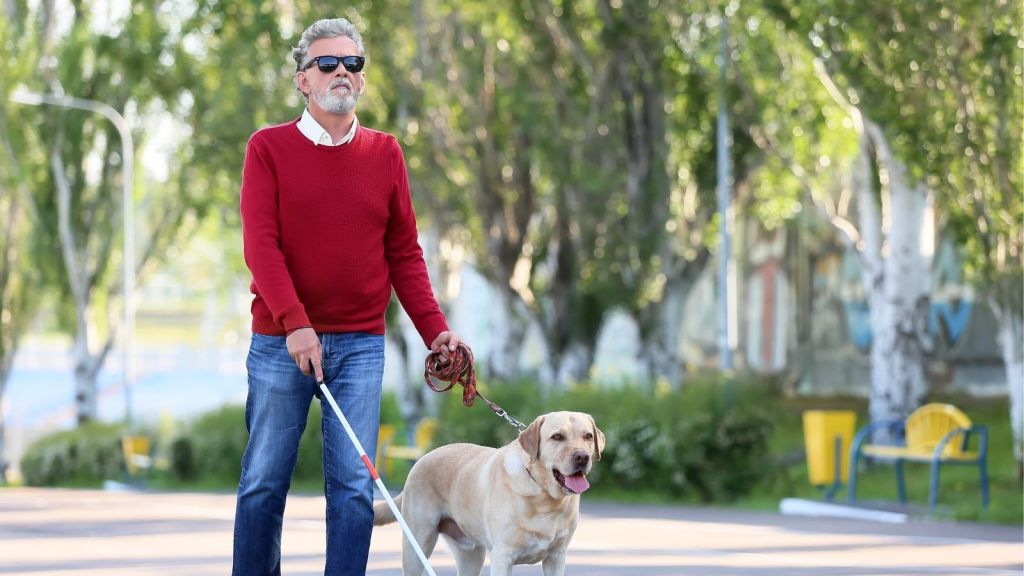 blind man with guide dog