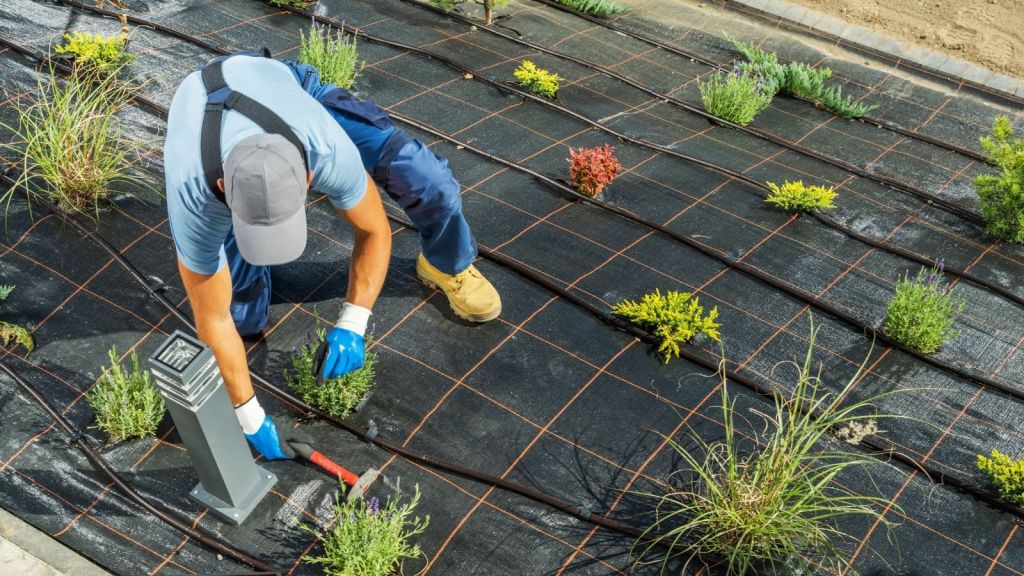 man installing irrigation system