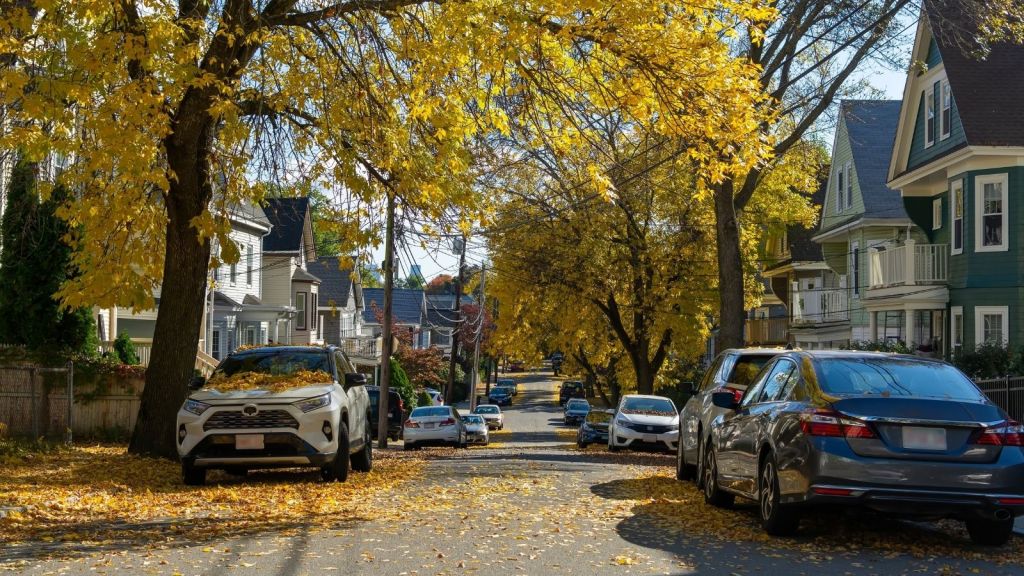 cars parked on residential street in the fall