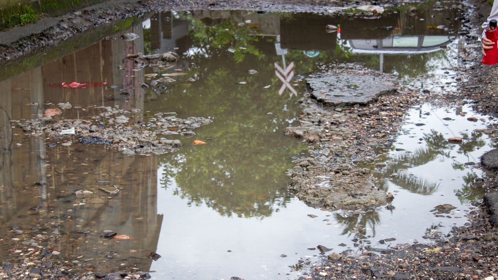 mud, leaves and water in the street