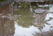 She Uses Gallons of Water to Clean Her House—And Leaves Her Neighbors Dealing With the Muddy Fallout