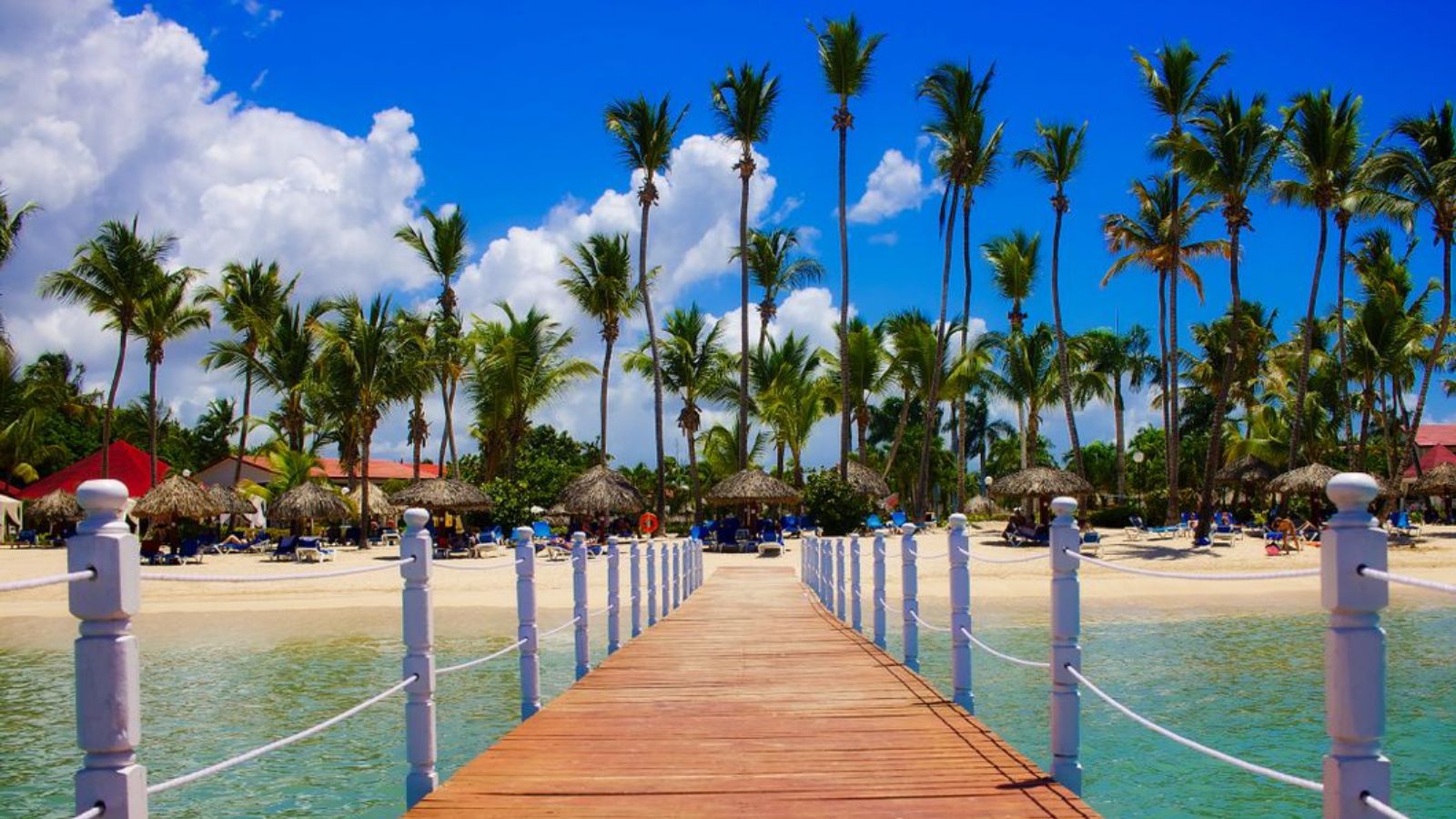 She Joyfully Accepted the Maid of Honor Role for a Destination Wedding. Then the True Cost Left Her Reeling. Wooden dock leading to a tropical beach resort with palm trees and clear blue waters in Dominican Republic
