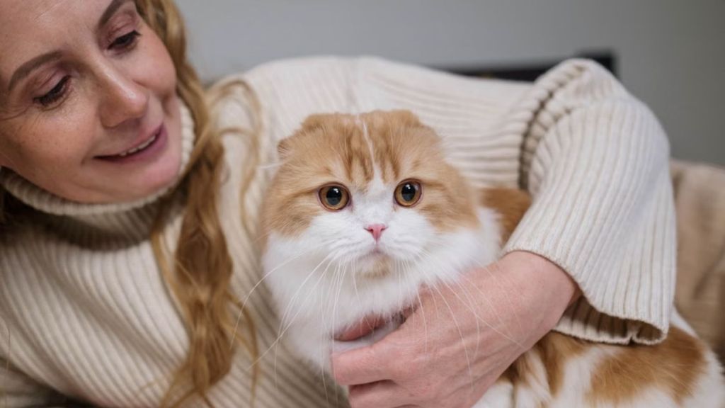 Woman cuddling a fluffy and pretty cat