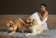 Young Woman Pushes Back After Family Suggests She Share a Room With Her Sister and Her Pets