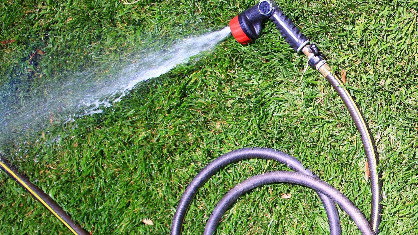 He Suspected His Neighbor Was Messing With His Hose. The Way He Secured His Yard Is Genius. A garden hose spraying water on a green lawn