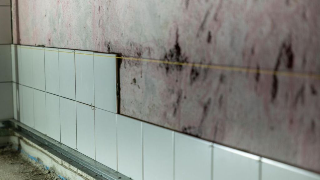 Partially tiled wall inside of a house with black stains on the concrete