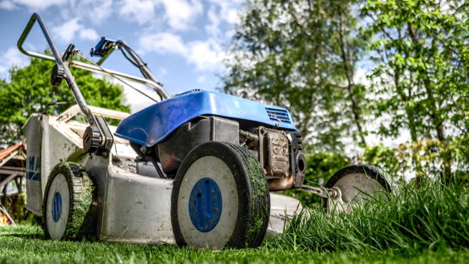 He Wanted to Leave Their Expensive New Mower at the Rental—But She Wanted to Take It With Them A lawn mower being used to cut grass in a sunny day
