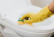 Roommate Removes The Toilet Seat Every Night—And Now He’s Wondering How To Deal With The Strange Habit