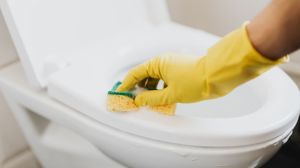 Person with gloves cleaning the toilet seat with brush and soap