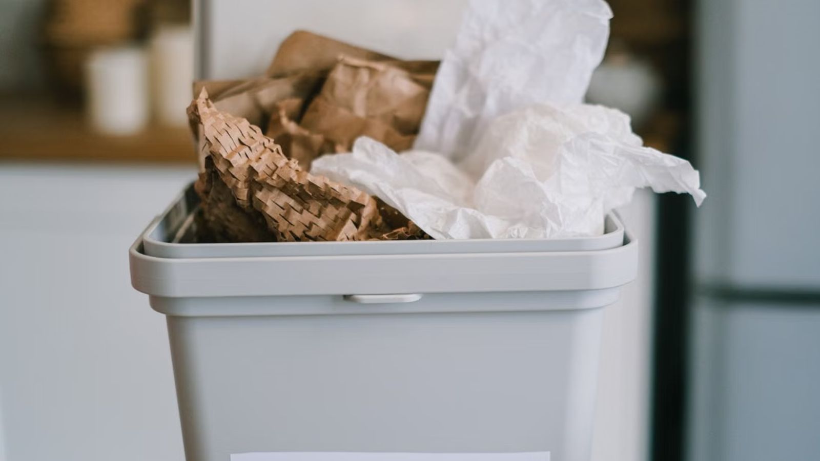 She Left the Place a Disaster: Tenant Ready to Expose Roommate to Save Her Own Skin Trash bin overflowing with paper and plastic garbage