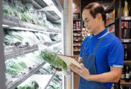 “Zero Training, Total Chaos”: Man Walks Off Grocery Store Job After Disaster First Shift