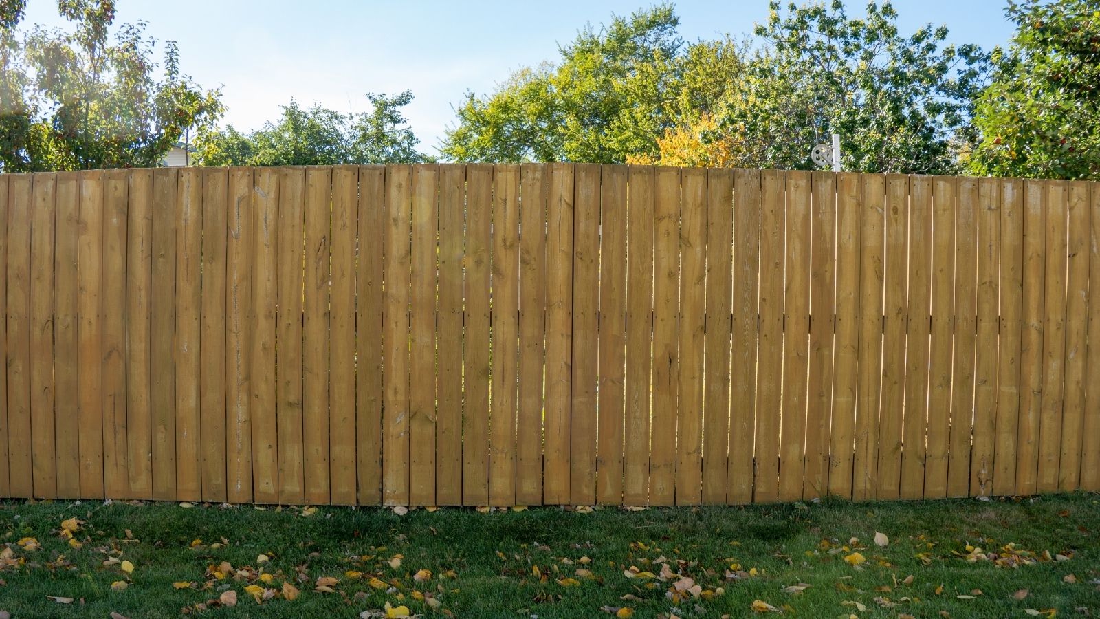 wooden fence