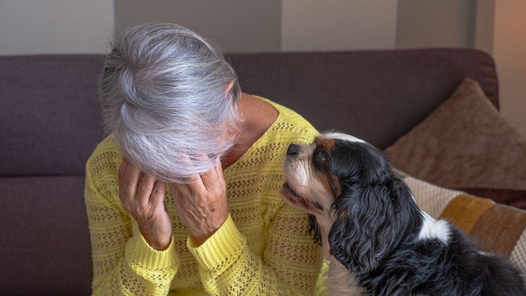 sad elderly woman sitting next to a dog