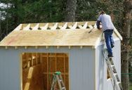 Neighbor Complains About Homeowner’s Shed, but City Inspector Discovers a Different Problem