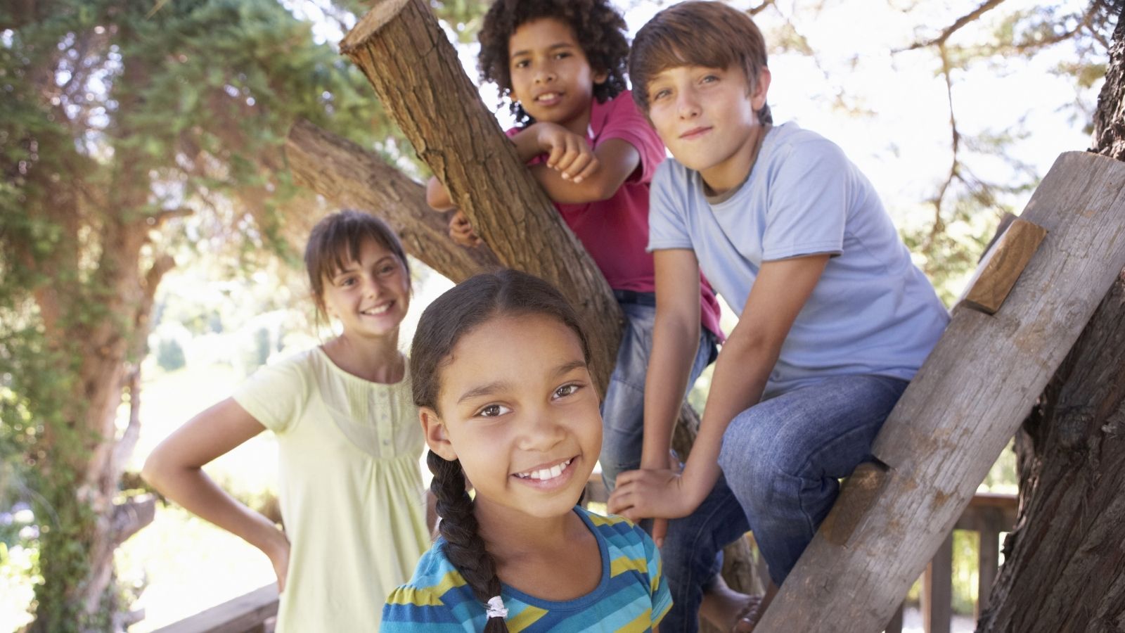 The Alliance Was Formed, then the Plan Was Executed. The Story of Neighborhood Kids Who Braved a Bully’s Ultimate Threat. four kids in a treehouse