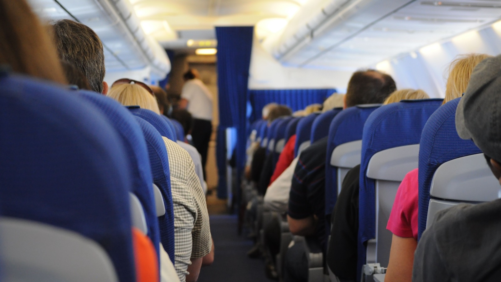 Father Blew Through Millions Gambling, So His Son Had to Pick Up the Pieces airline seating on an airplane