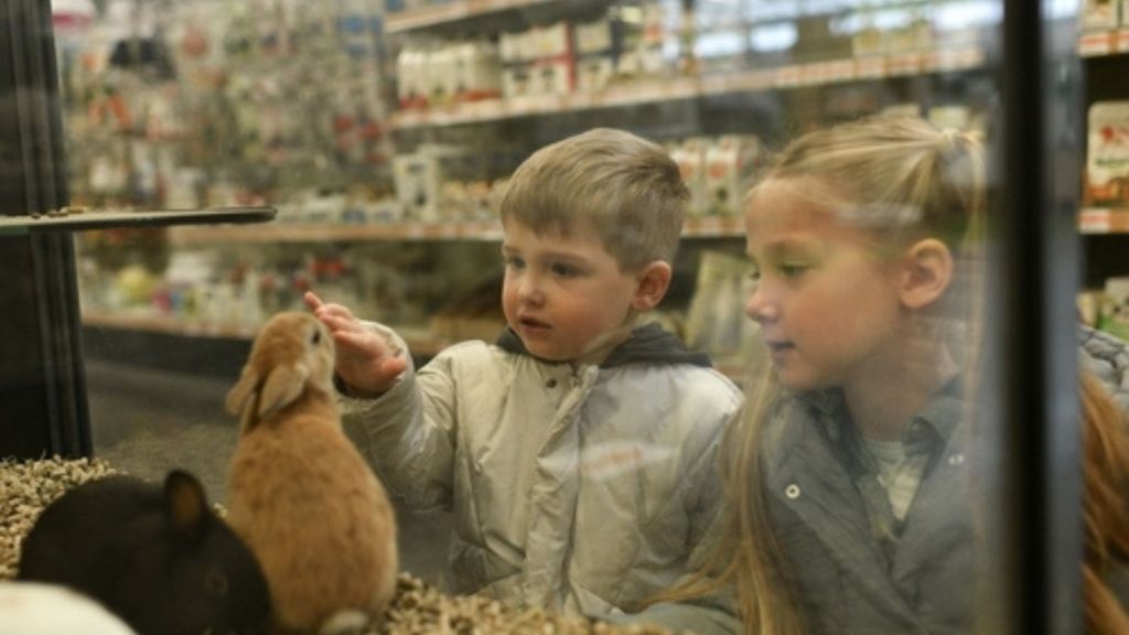Kids at pet store