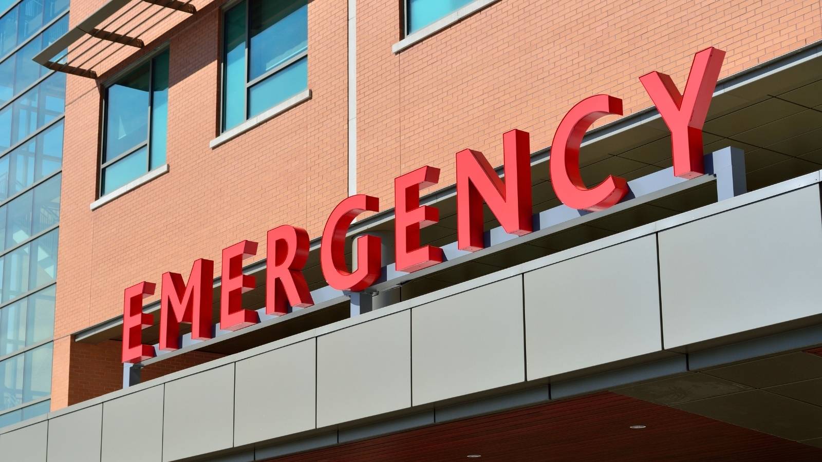 She Never Mentioned Her Dog Eats Everything in Sight—Until Her Friend Was Stuck With a Massive Vet Bill big red sign that says emergency