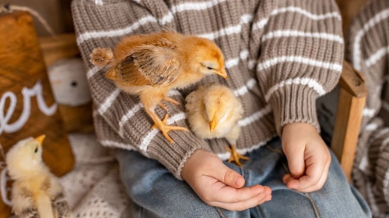 He Left His Son at the Store and Walked Away—Then Came Back Acting Like It Was Perfectly Normal Kid holding baby chickens