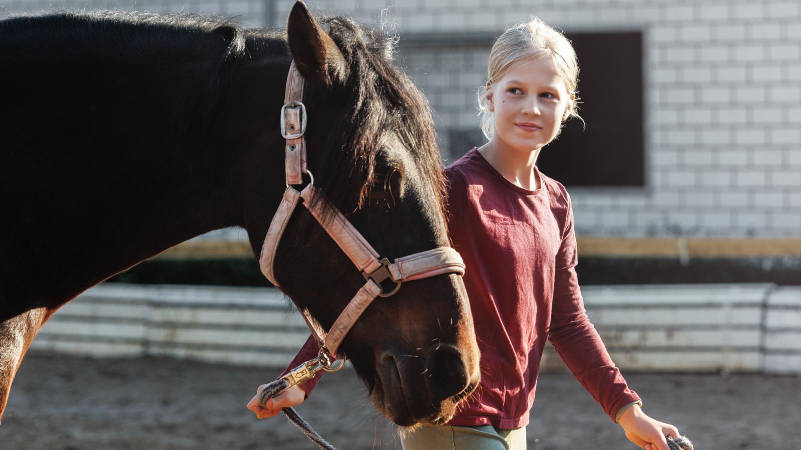 The Barnyard Standoff: Why an Arrogant Customer Refused to Listen to a Teenager Who Kept Saying, I Dont Work Here. girl with a horse