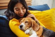 “He’s Mine Now”: Woman Takes Final Stand After Lost Dog’s Owner Dodges Meeting For Months