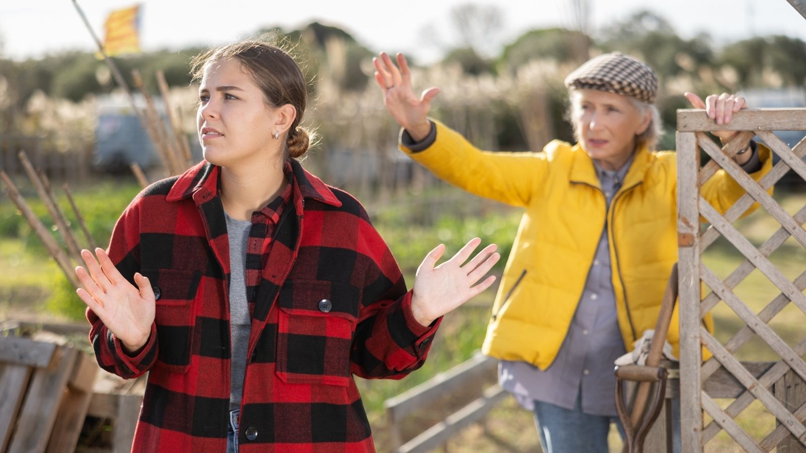 neighbors arguing over a fence
