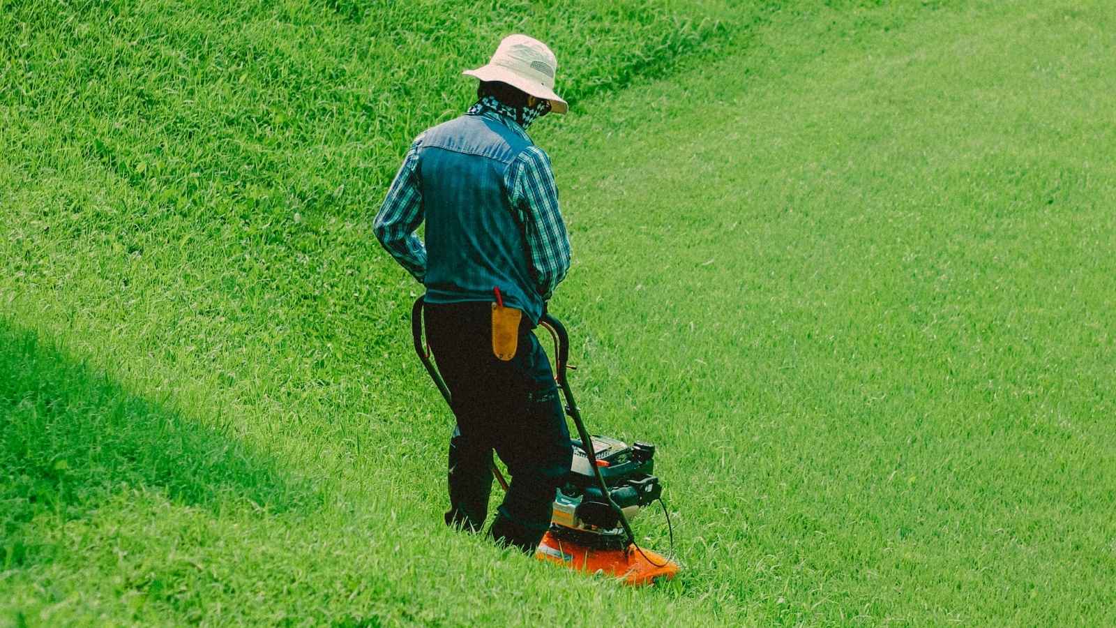 A Homeowner Discovered Her Ultra Meticulous Neighbor Has Been Quietly Returning Her Tree’s Property man mowing his lawn