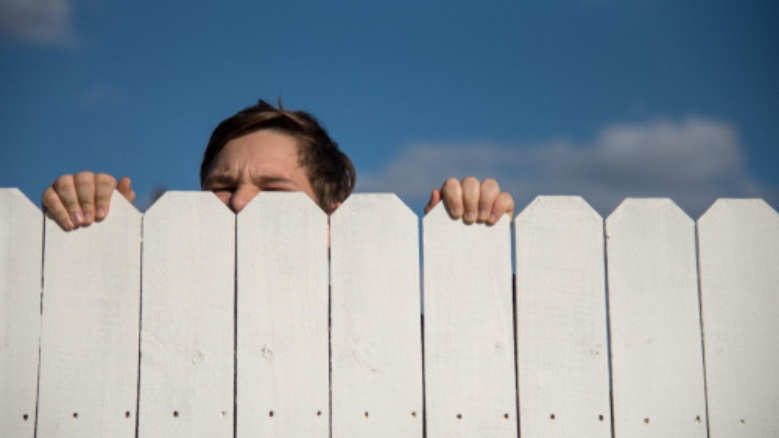 Nosy Neighbor