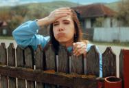 “You’re Being Unreasonable”: Neighborhood Parents Turn on Woman After She Complains About Broken Fence