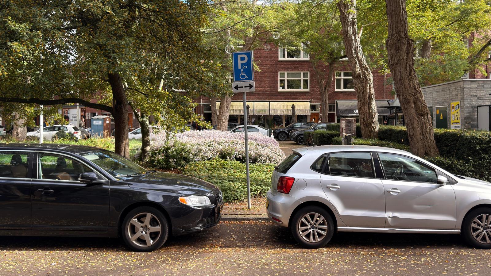 Homeowner Says Neighbor Misuses Handicap Parking Spot, Fueling an Ongoing Neighborhood Dispute cars parked on a street