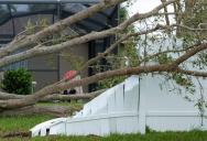 A Tree His Neighbor Cut Down Destroyed His Fence — and the Neighbor Refuses to Pay for the Damage