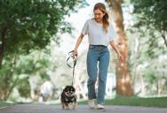 Walking Her Dog on the Same Route Daily Led to an Unfounded Accusation From a Neighbor