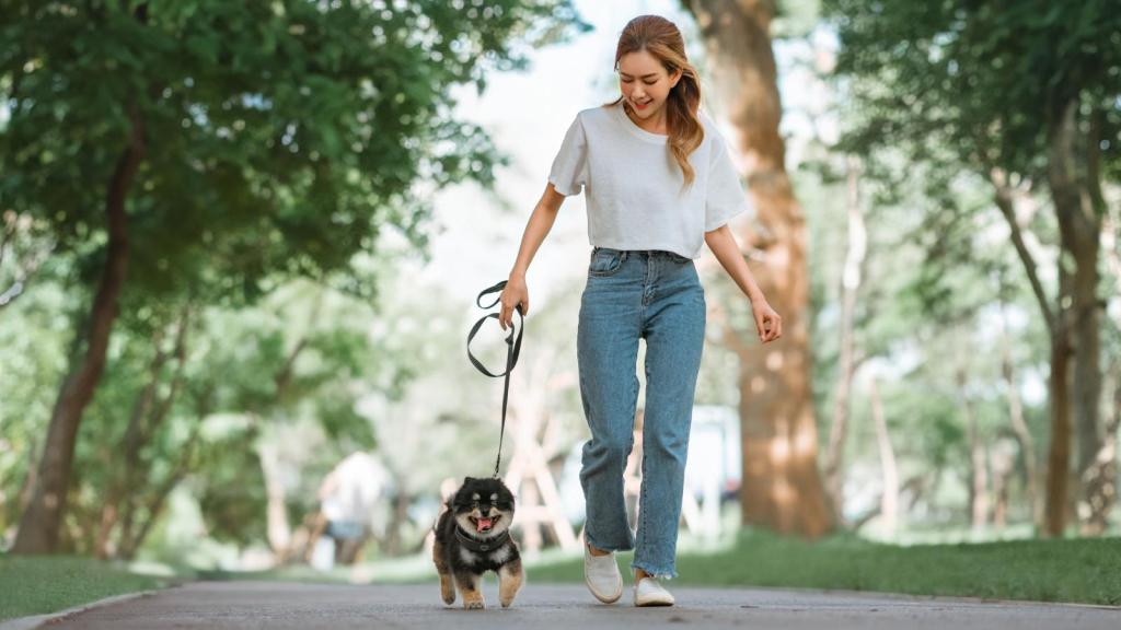 woman walking a dog
