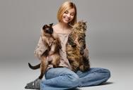 Her Roommates Want Her to Get Rid of Her Cats — She’s Refusing, And Now It’s a Standoff