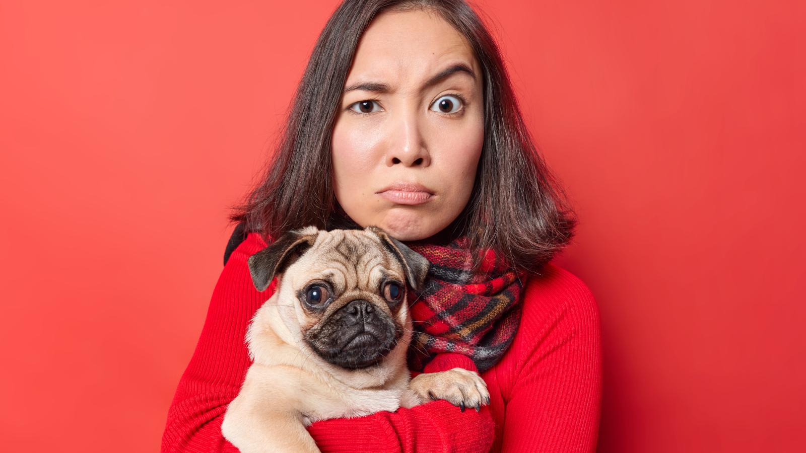 Roommates Keep Feeding and Walking Woman’s Dog Despite Her Clear Boundaries woman holding a dog