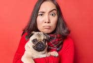 Roommates Keep Feeding and Walking Woman’s Dog Despite Her Clear Boundaries