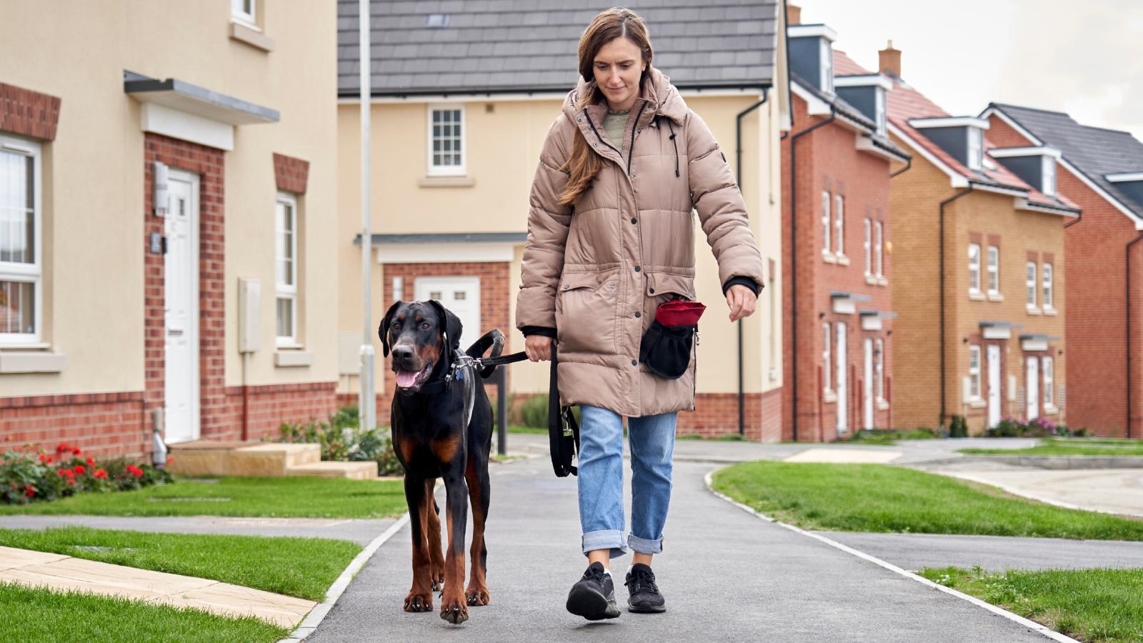 Why Just Me?: Woman Exposes Neighbor Who Targets Her and Her Dog While Ignoring Everyone Else woman walking a dog