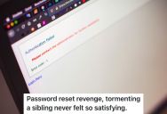 Kid Spent Years Living With His Sibling’s Explosive Temper, So He Started Resetting His Email Password Every Time They Fought