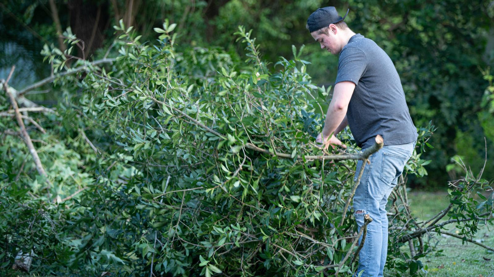 Neighbor Asked for an Overhanging Tree to Be Removed, but She Was Shocked When He Did It Without Her Home man removing a tree