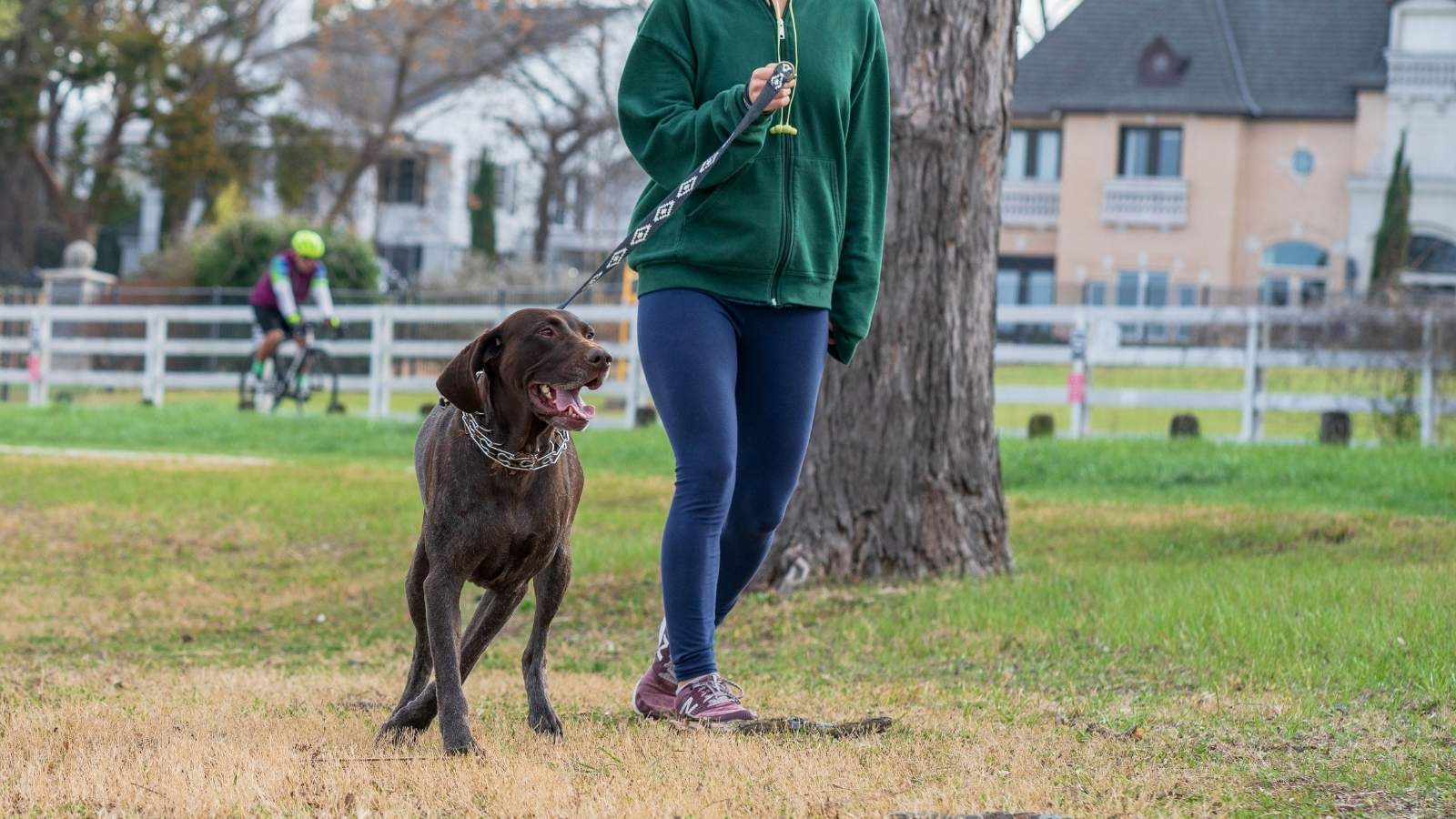 woman walking her dog