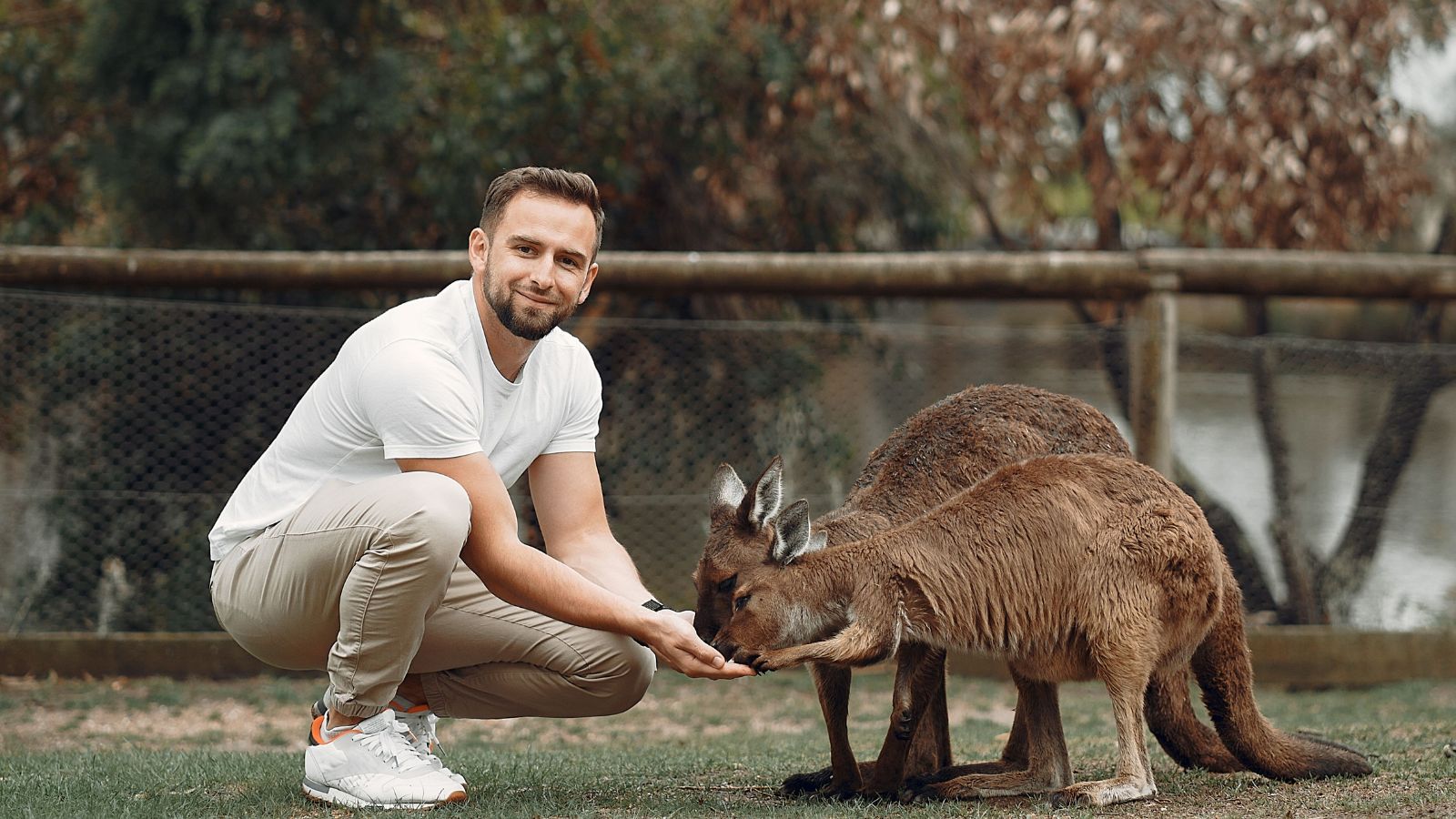Man feeding animals in a zoo