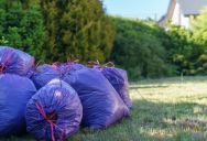 She Reported Her Downstairs Neighbor for Dumping Trash in the Shared Yard—Now He’s Furious at the Landlord’s Warning