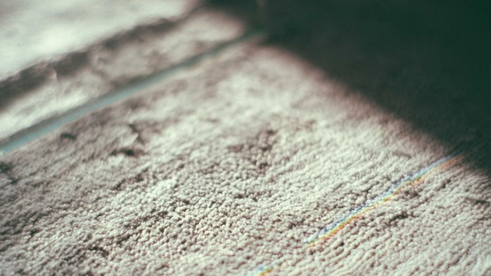 A textured carpet with sunlight creating soft shadows