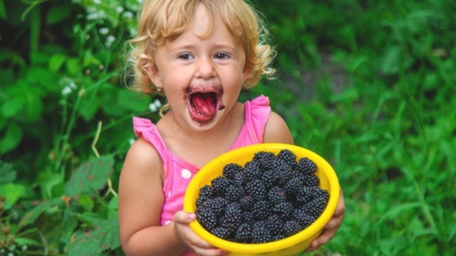 Every Year Bullies Made Her Test Unripe Berries First—So She Pretended They Were Great and Tricked Everyone Child picking blackberries