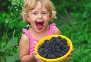 Every Year Bullies Made Her Test Unripe Berries First—So She Pretended They Were Great and Tricked Everyone