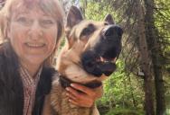His Neighbor’s Aggressive Dog Was Never an Issue—Until His Own Dogs Escaped and Triggered a Feud