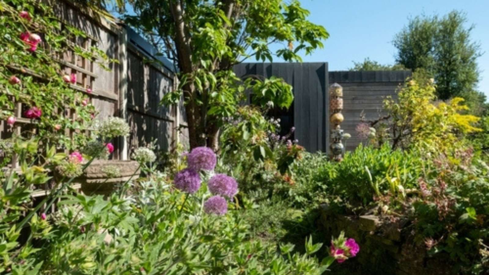 They Reported His Long Grass to the City—So He Planted an Ugly Garden Just to Spite Them Overgrown garden