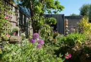 They Reported His Long Grass to the City—So He Planted an Ugly Garden Just to Spite Them