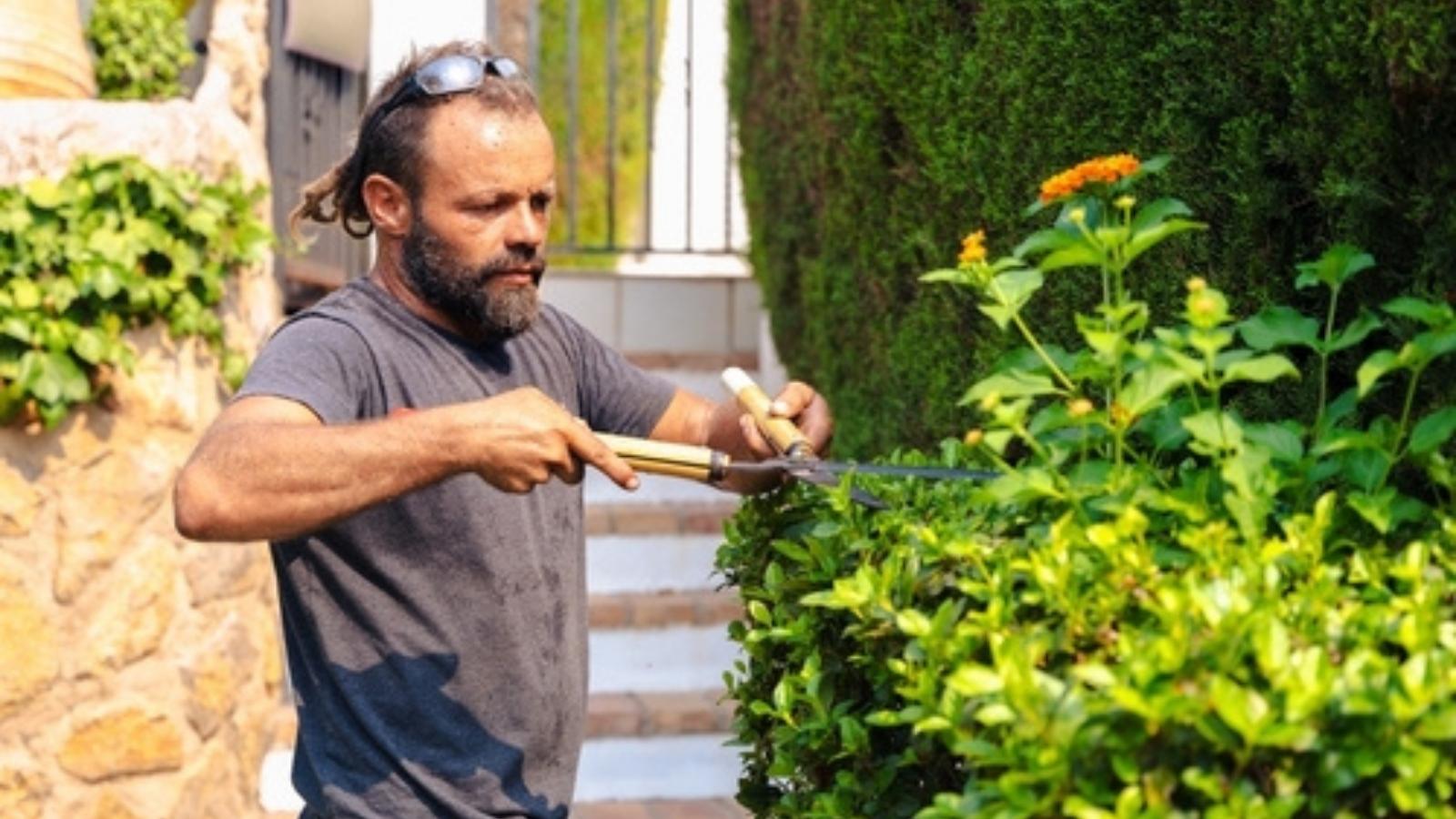 Their Neighbor Demanded They Cut Their Hedges Way Down—So They Followed the HOA Rules and Ruined Her Curb Appeal Man trimming hedges