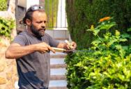 Their Neighbor Demanded They Cut Their Hedges Way Down—So They Followed the HOA Rules and Ruined Her Curb Appeal